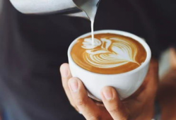 t91咖啡直播切片,品味时光，尽享咖啡香醇之旅